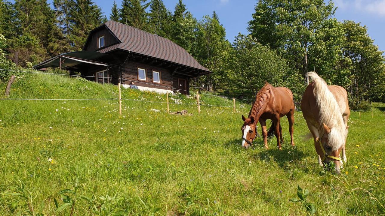 Panorama Ranc Villa Kornyavölgy Kültér fotó